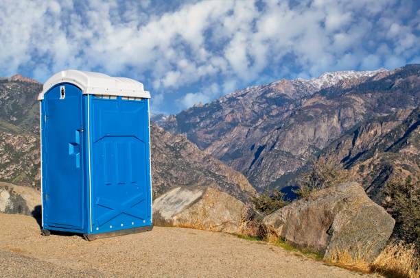Best Portable Restroom Removal and Pickup  in Manvel, TX